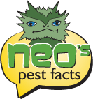 View More Pest Facts